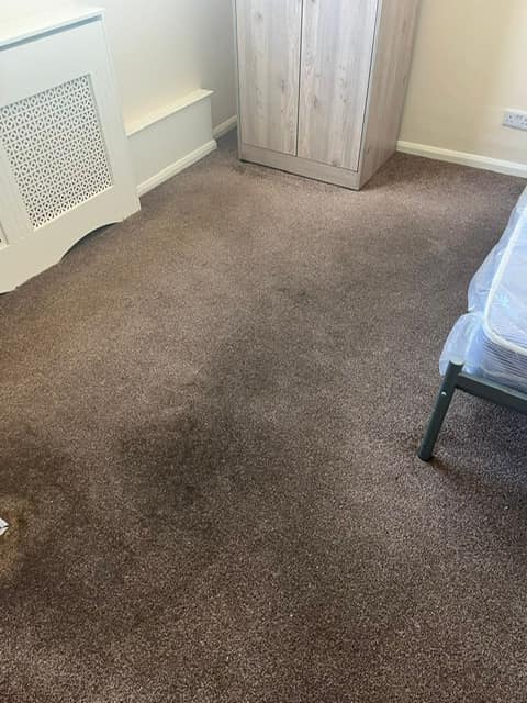 Carpet cleaning in Colchester | BCC - Best Carpet Cleaning gallery image 3