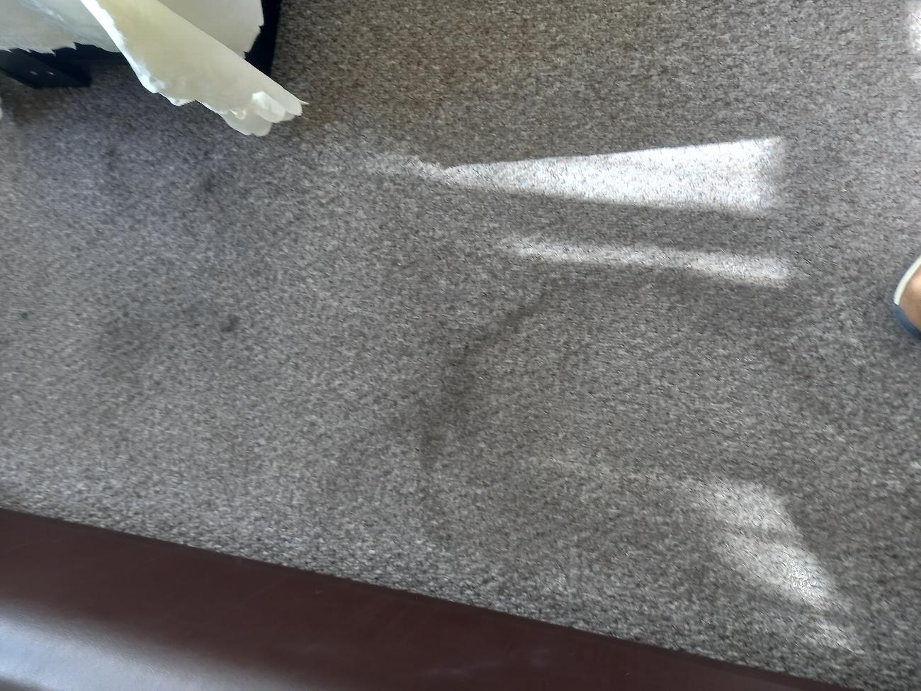 Carpet cleaning in Colchester | BCC - Best Carpet Cleaning gallery image 7