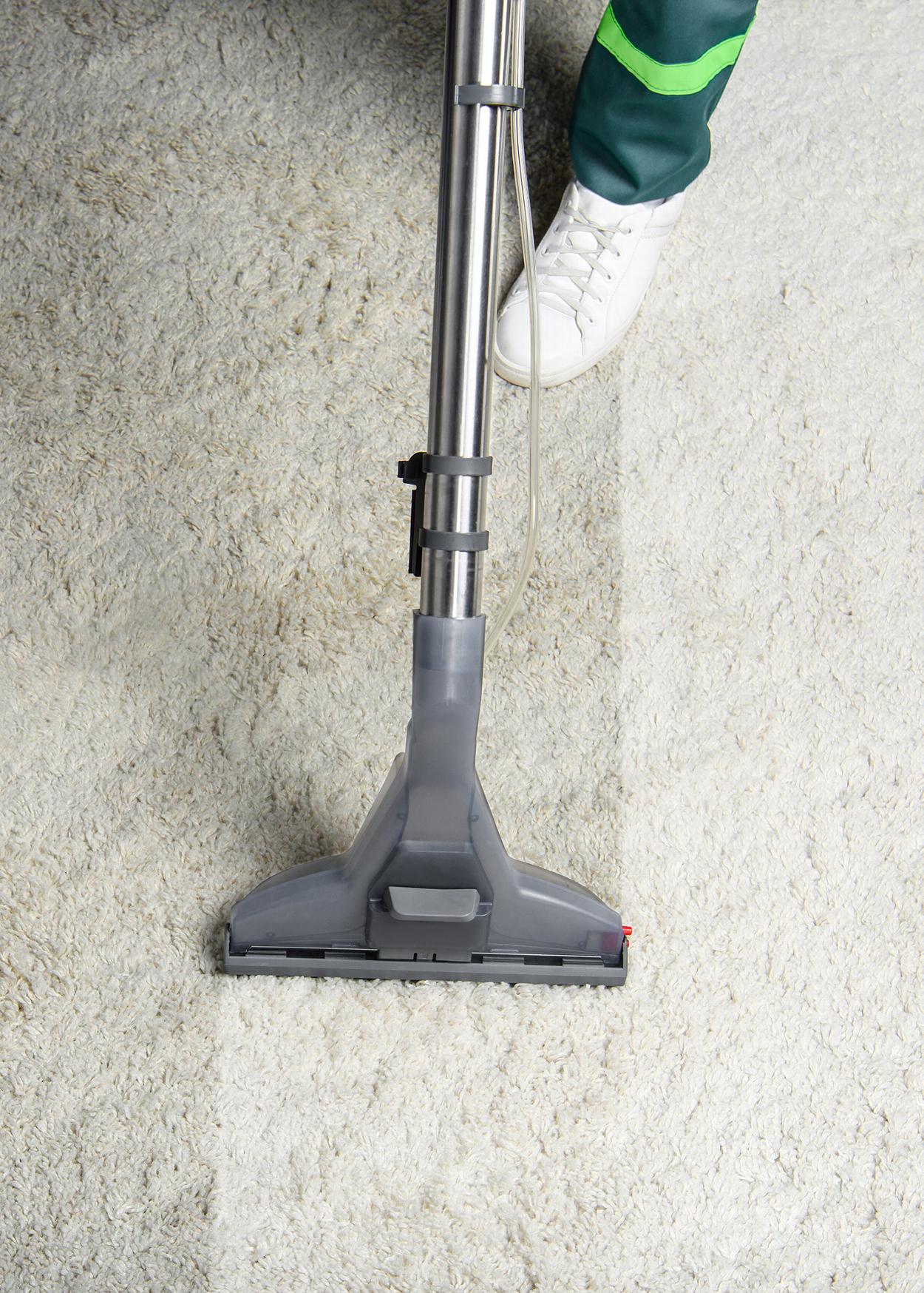Vacuuming carpet in Colchester