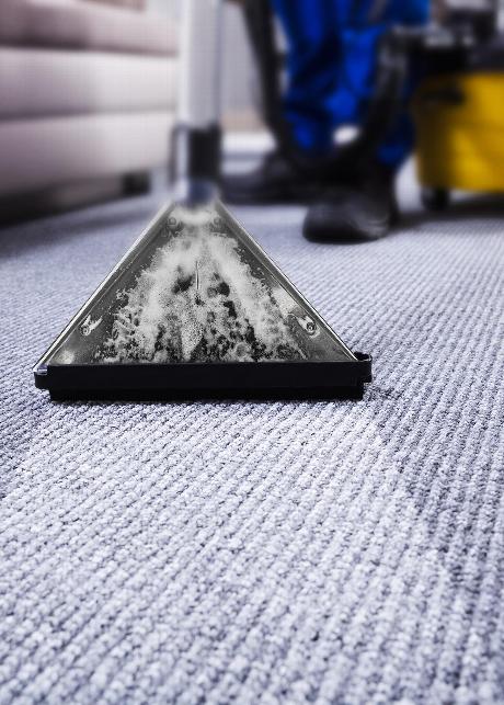 Cleaning office carpet in Colchester