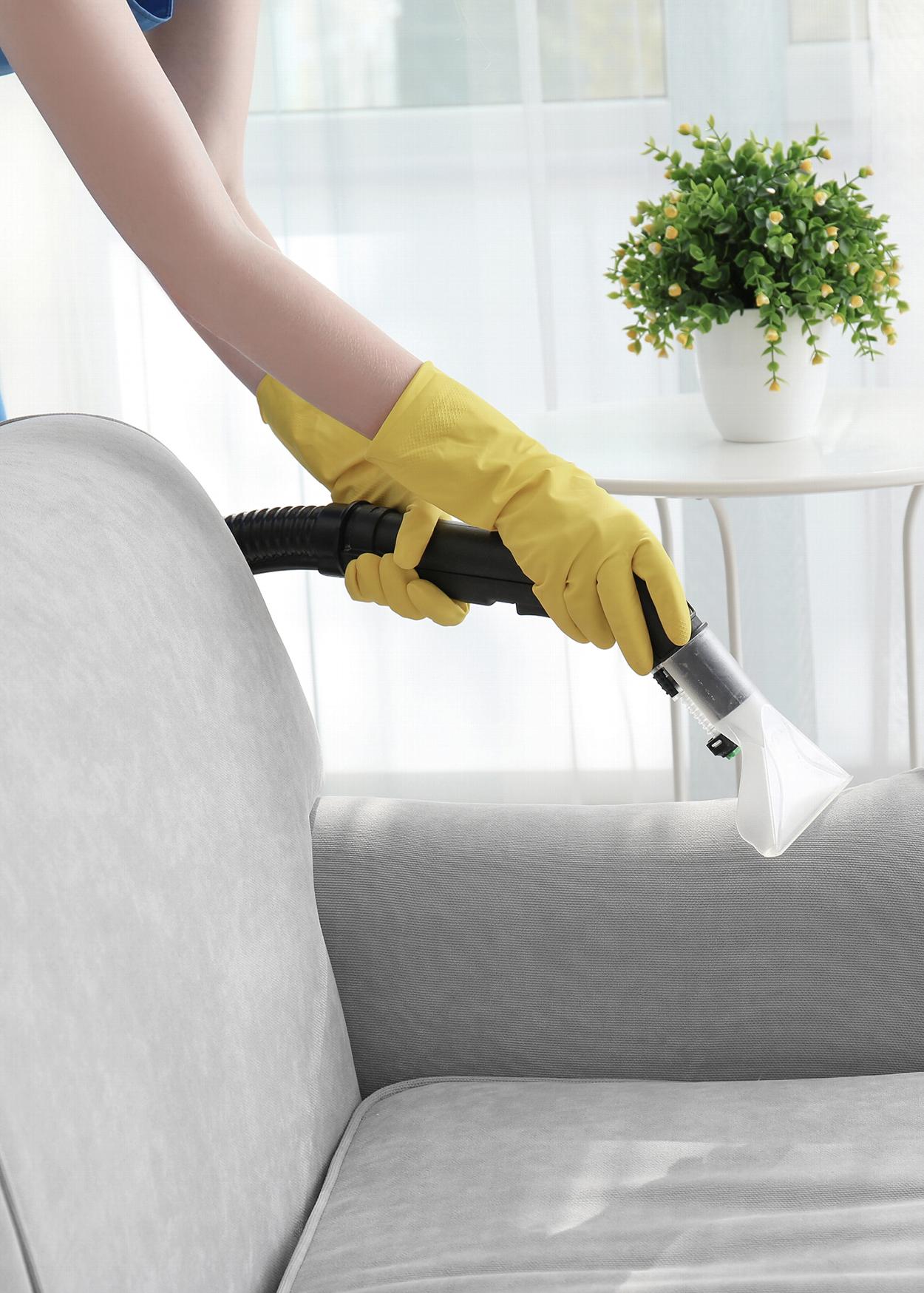 Woman cleaning sofa in Colchester